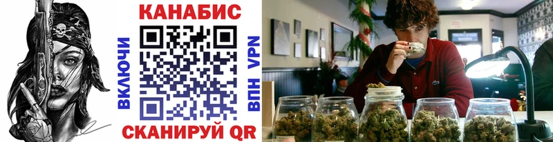 Каннабис SATIVA & INDICA  Пошехонье 